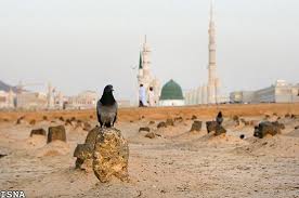 لماذا بقی محل دفن فاطمة الزهراء (س) مخفیاً الی الآن بینما ظهر مرقد علی (ع) بعد فترة؟  اللهءمحمدءعلیءاسلامءدینءTVshiaءشیعهءمنجیءقرآنءخداء