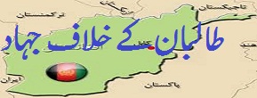 افغان وزارت دفاع :فورسز کے مشترکہ آپریشن کے دوران اب تک 650طالبان جنگجوئوں کو گرفتار کیا جا چکا ہے