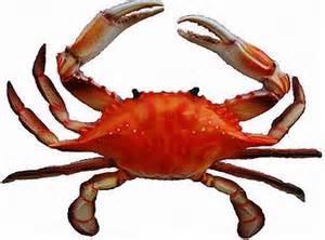 Is it haram to eat crab meat? GodءallahءmohammadءaliءislamءshiaءtvshiaءReligionءSaviorءQur’anء