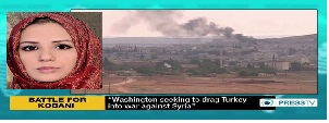 Press TV, Reporter, Serena Shim, Turkey, Syria, intelligence, Kurdish
