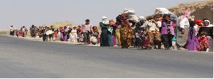 Genocide , Yazidis, Iraq, ISIS group, Human Rights, Kurdish