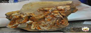  Ancient, Natural Rock, Imam Hussein, Lebanon, pilgrim, Holy Shrine