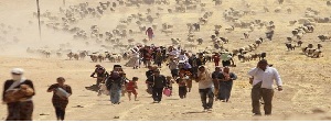 ISIS, Mascaraed, Terrorist, Yazidi, militants, Mosul, Progress Party, Tal Afar, Middle East , minority group