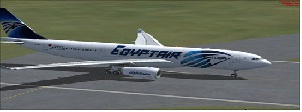 Egypt, Turkey, Islamic State, ISIL, terrorist group, airport, 