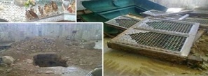 مزار حجر بن عدی