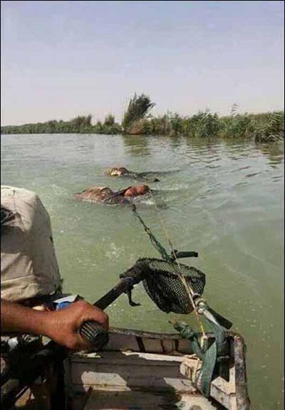 جنایات داعش در پایگاه اسپایکر: صدها دانشجو را کشته و به آب انداختند