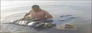 جنایات داعش در پایگاه اسپایکر: صدها دانشجو را کشته و به آب انداختند
