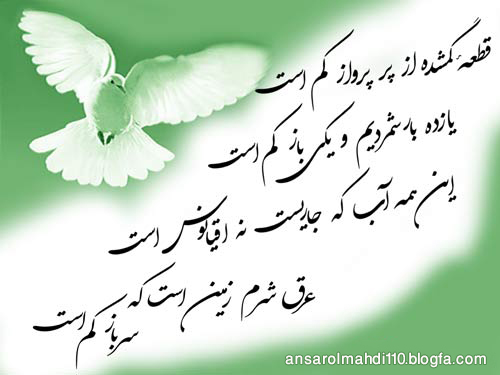 عصر ظهور: 35. حرکت حضرت مهدى عليه السلام به سوی ايران و عراق
