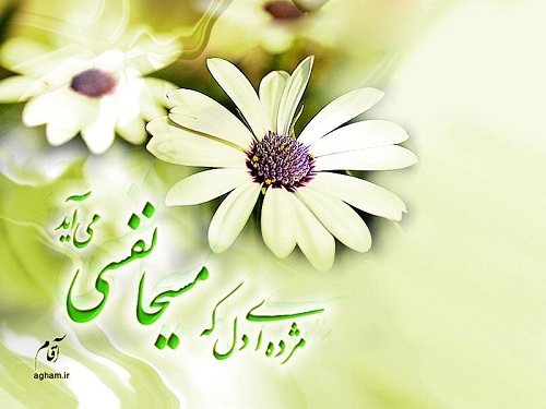 40 بار دعای عهد بخوانیم، یار حضرت مهدی (عج) می شویم؟