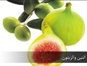 تیم ژاپنی به دلیل ذکر “انجیر و زیتون”در قرآن مسلمان شدندءءاللهءمحمدءعلیءاسلامءدینءTVshiaءشیعهءمنجیءقرآنءخداء