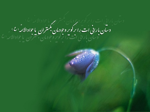 یا جواد الأئمه أدرکنی