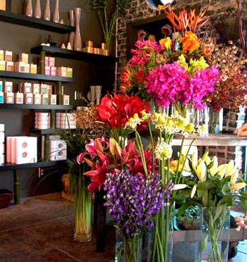 خرید و فروش و اهداء گل به بیماران ممنوع