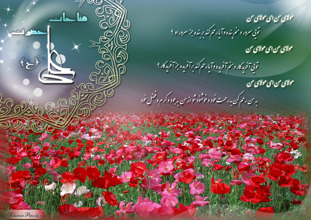 مناجات مسجد کوفه امیرالمومنین(ع){مولای یا مولا...}/حاج مهدی سماواتی دانلود تصویری
