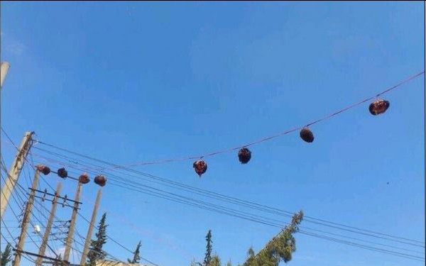 سرهای بریده مردم رقه بر روی سیم‌های برق + تصویر