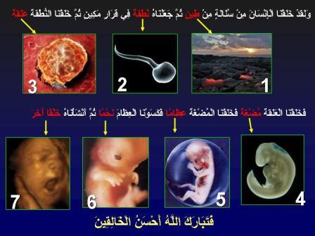 تنها راه نجات بشر