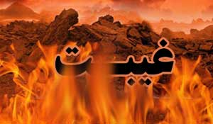عایشه در صحاح سته: عايشه و غيبت صفيه