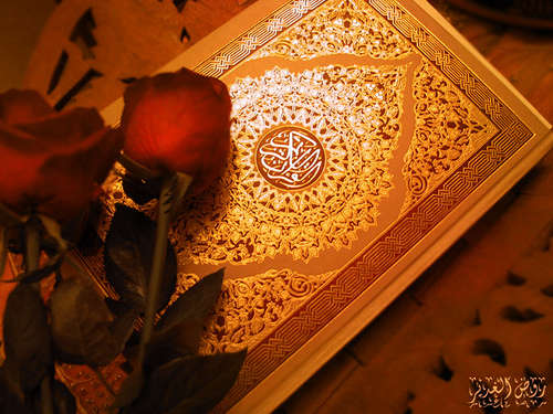 AllahءMusulunciءAddiniءMohammadءAliءshiءmahdiءtvshiaءTasirin Kafafen Wats labaru akan mace da iyali