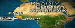 IMF Ternyata Terlibat dalam Penyeabaran Virus Mematikan Ebola