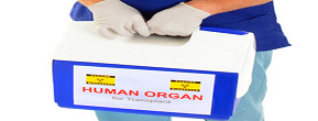 ISIS Perdagangkan Manusia dan Organ Tubuh Para Korbannya