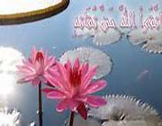 ءTanrıءdinءİslamiyetءShiءTVshiaءMohammadءaliءAllahءKur'ânءAllahءTakva İle ilgili Hadisler