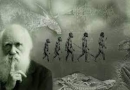 ویزه نامه رد نظریه داروین و بیگ بنگ